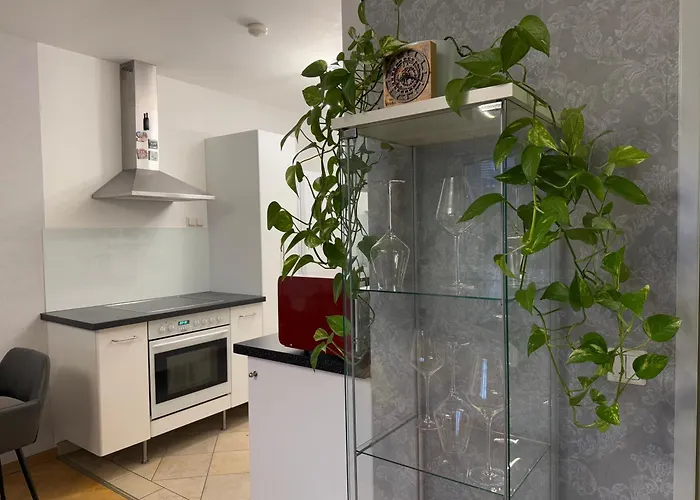 Premium With Panorama Balcony And Views Near To Metro Station U1 Appartement